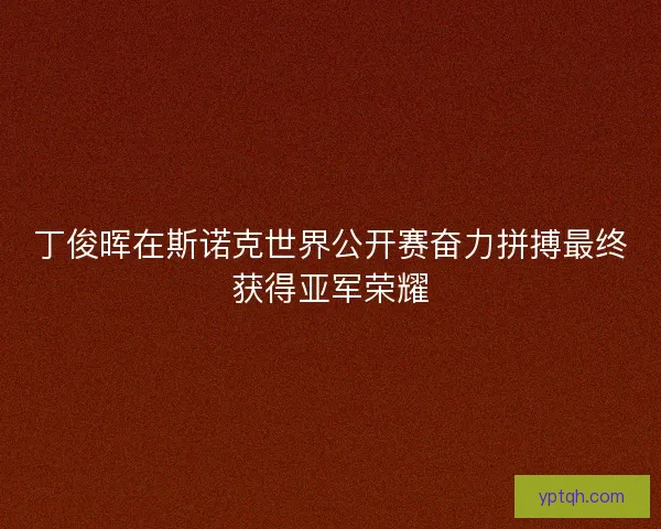 丁俊晖在斯诺克世界公开赛奋力拼搏最终获得亚军荣耀